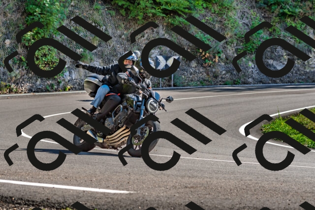 202509271422-DSC_4248_d2_