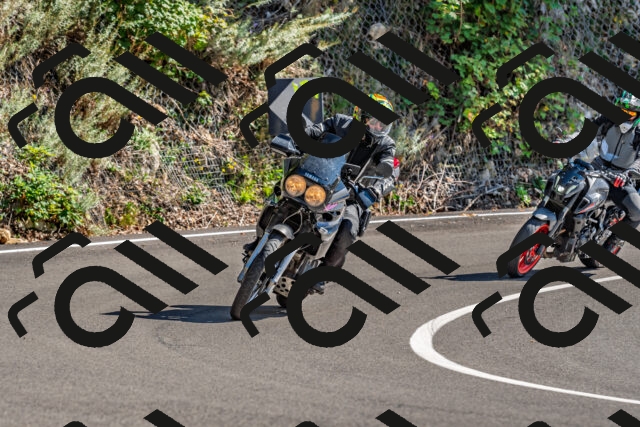 202509271426-DSC_4256_d2_