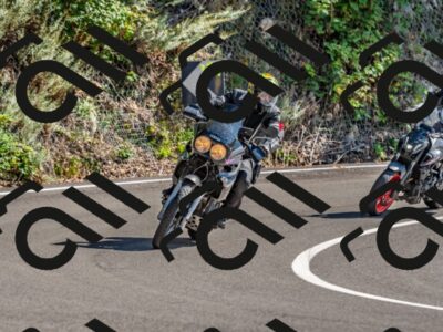 202509271426-DSC_4256_d2_