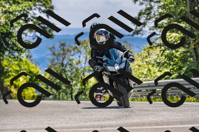 202509271431-DSC_4271_d2_