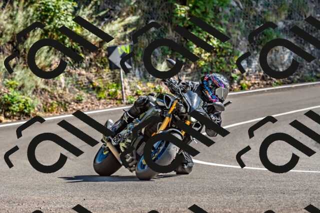 202509271431-DSC_4279_d2_