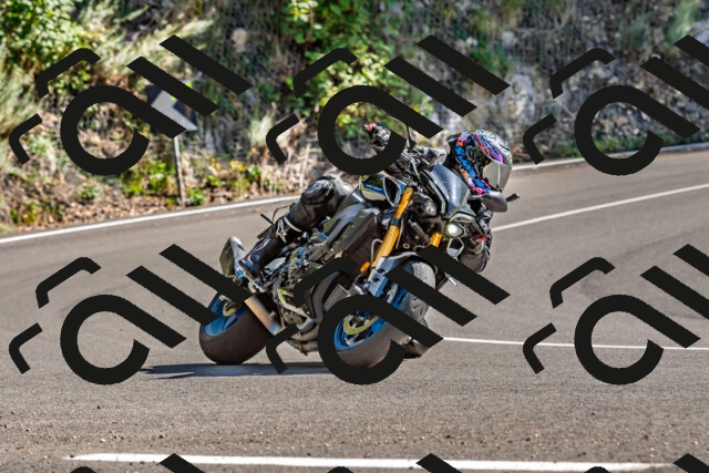 202509271431-DSC_4280_d2_