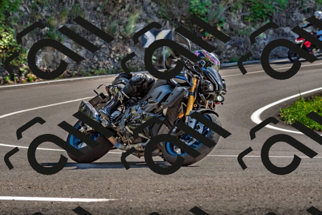 202509271431-DSC_4281_d2_