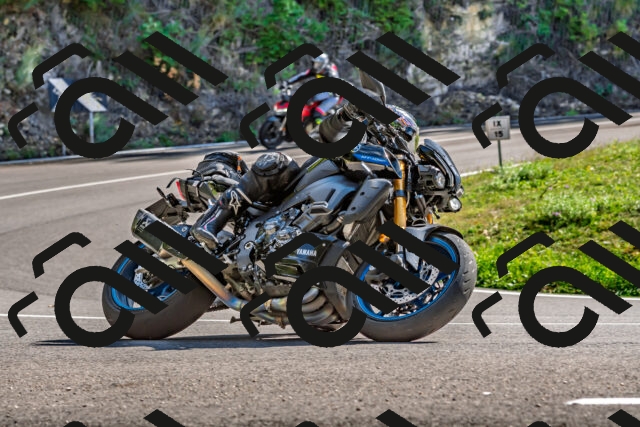 202509271431-DSC_4282_d2_