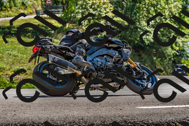 202509271431-DSC_4285_d2_