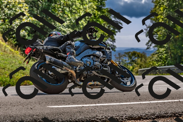 202509271431-DSC_4286_d2_