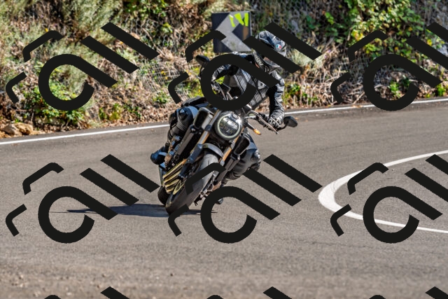 202509271432-DSC_4295_d2_