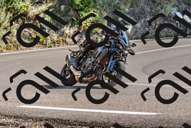 202509271435-DSC_4302_d2_