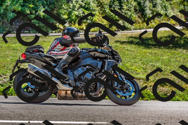 202509271435-DSC_4305_d2_