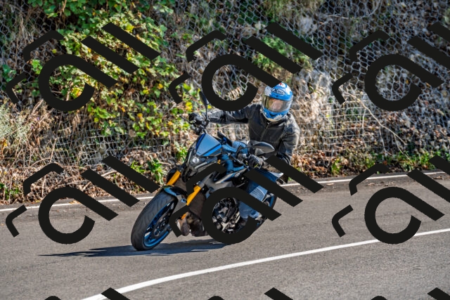 202509271441-DSC_4333_d2_