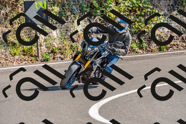 202509271441-DSC_4334_d2_