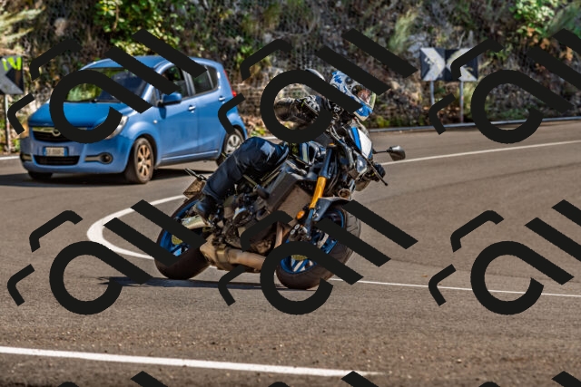 202509271441-DSC_4335_d2_