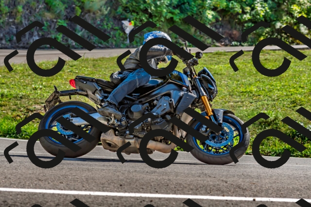 202509271441-DSC_4336_d2_