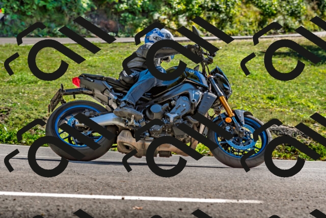 202509271441-DSC_4337_d2_