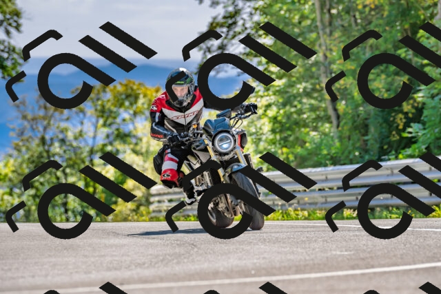 202509271446-DSC_4343_d2_