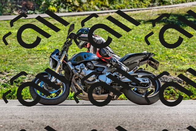 202509271446-DSC_4346_d2_