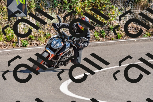 202509271446-DSC_4349_d2_