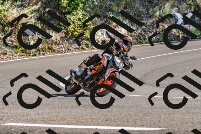 202509271446-DSC_4350_d2_