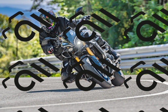 202509271447-DSC_4353_d2_