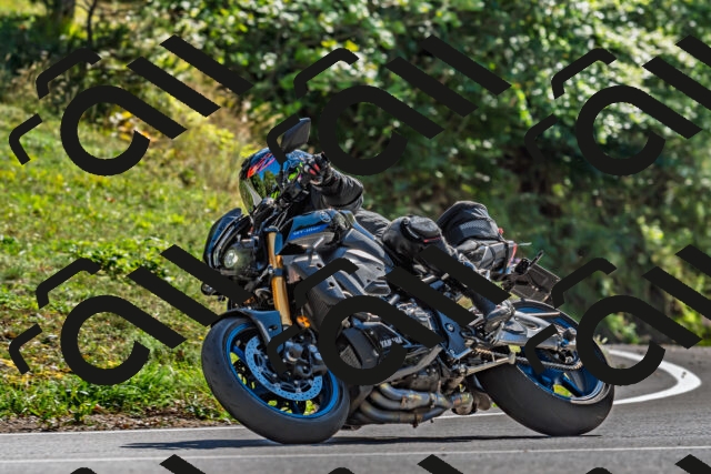 202509271447-DSC_4355_d2_