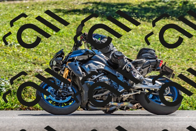 202509271447-DSC_4356_d2_