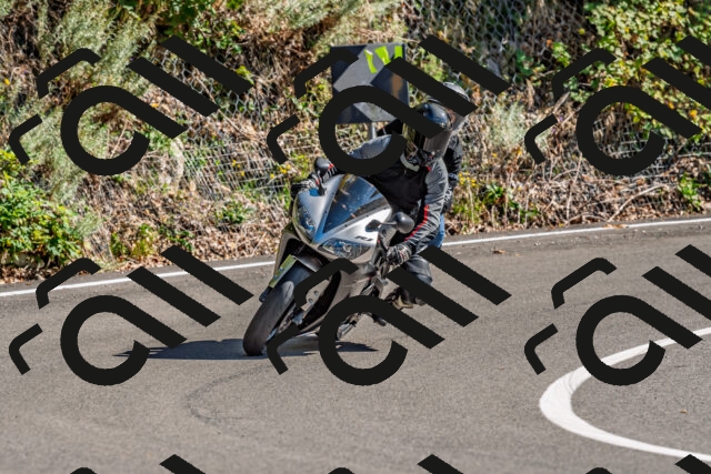 202509271448-DSC_4364_d2_