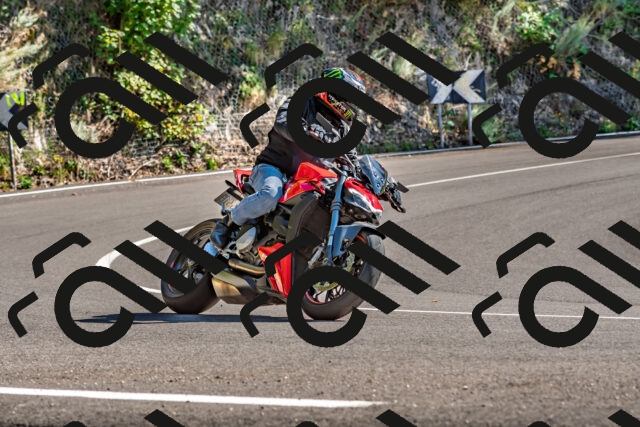 202509271448-DSC_4369_d2_