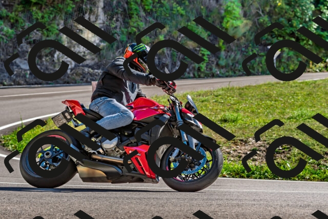 202509271448-DSC_4371_d2_