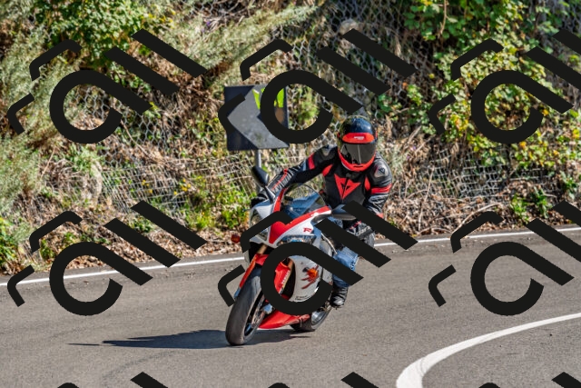 202509271448-DSC_4372_d2_