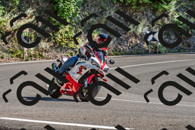 202509271448-DSC_4373_d2_