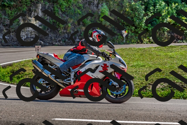 202509271448-DSC_4374_d2_