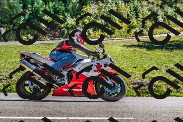 202509271448-DSC_4375_d2_