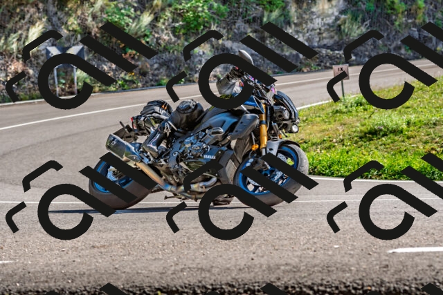 202509271456-DSC_4391_d2_