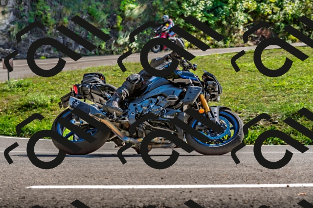 202509271456-DSC_4392_d2_