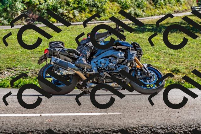 202509271456-DSC_4393_d2_