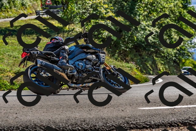 202509271456-DSC_4394_d2_