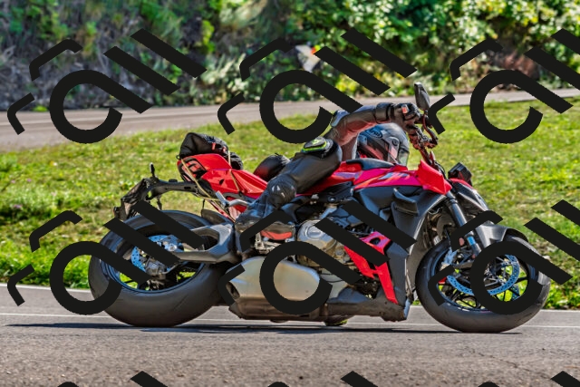 202509271456-DSC_4401_d2_