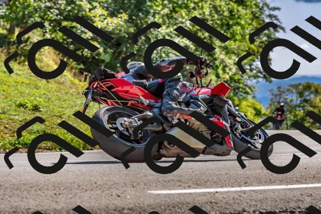 202509271456-DSC_4403_d2_