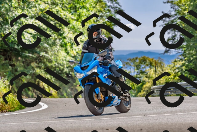 202509271502-DSC_4419_d2_