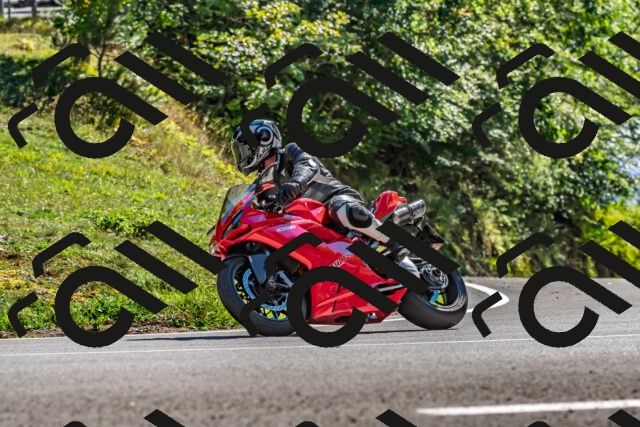 202509271505-DSC_4425_d2_