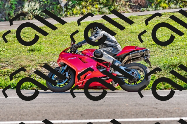 202509271505-DSC_4427_d2_