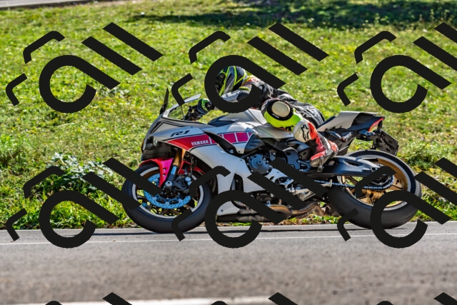 202509271506-DSC_4431_d2_