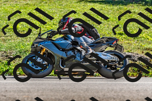 202509271506-DSC_4435_d2_