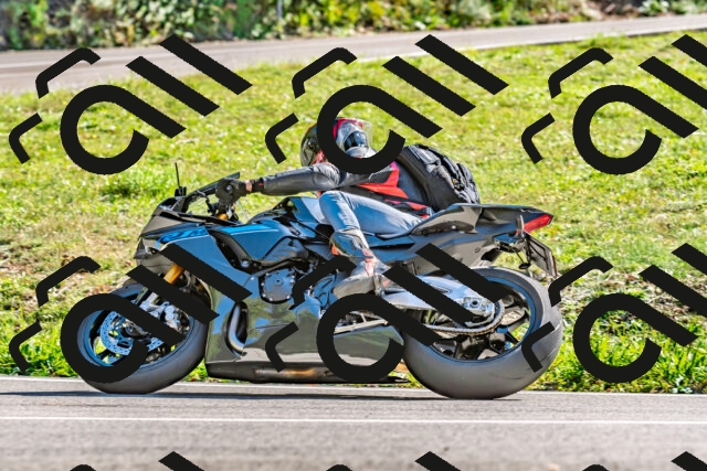 202509271506-DSC_4436_d2_