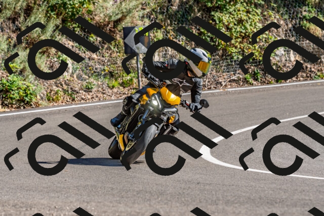 202509271507-DSC_4441_d2_