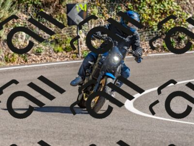 202509271507-DSC_4444_d2_