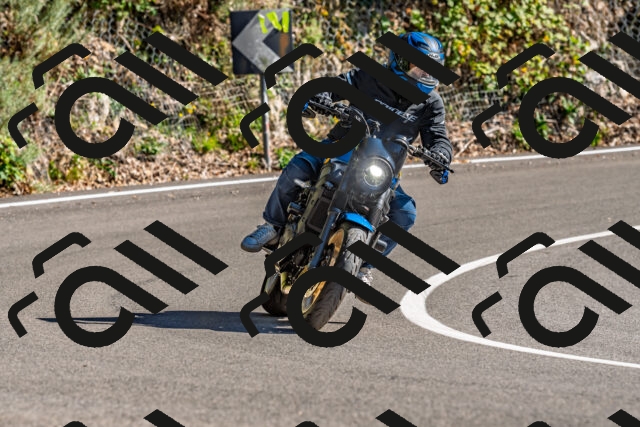 202509271507-DSC_4444_d2_