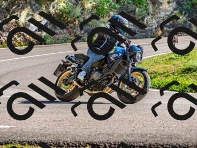 202509271507-DSC_4445_d2_