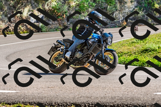 202509271507-DSC_4445_d2_