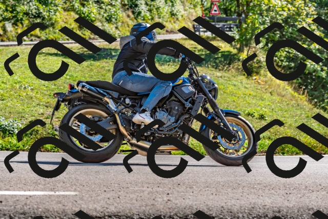 202509271507-DSC_4446_d2_